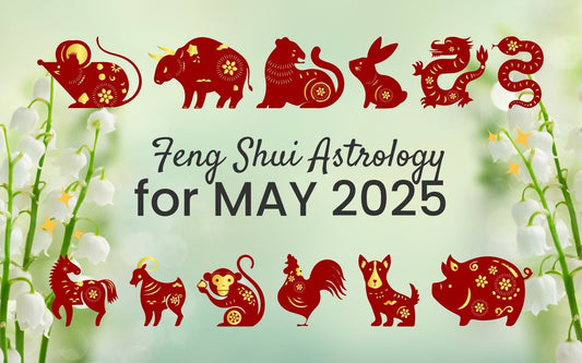 May 2025 Horoscope: What's Coming for Each Sign?